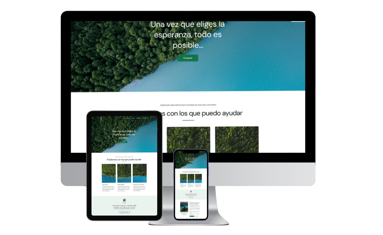 Diseño de páginas web en Vitoria.